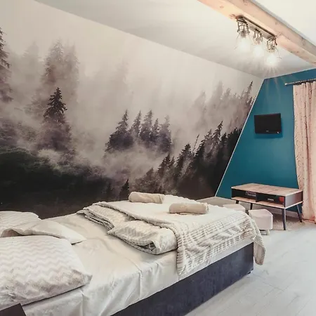 Apartament na strychu u Babci-3